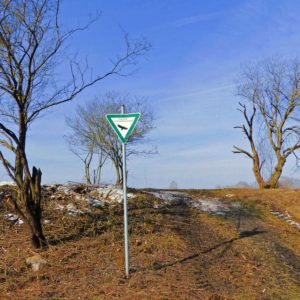 geschutzter Landschaftsbestandteil